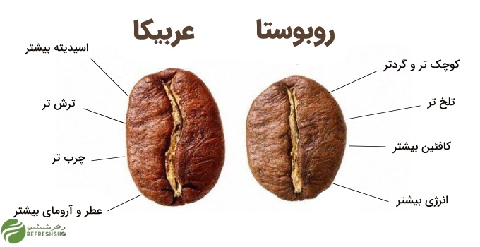 عربیکا یا روبوستا 