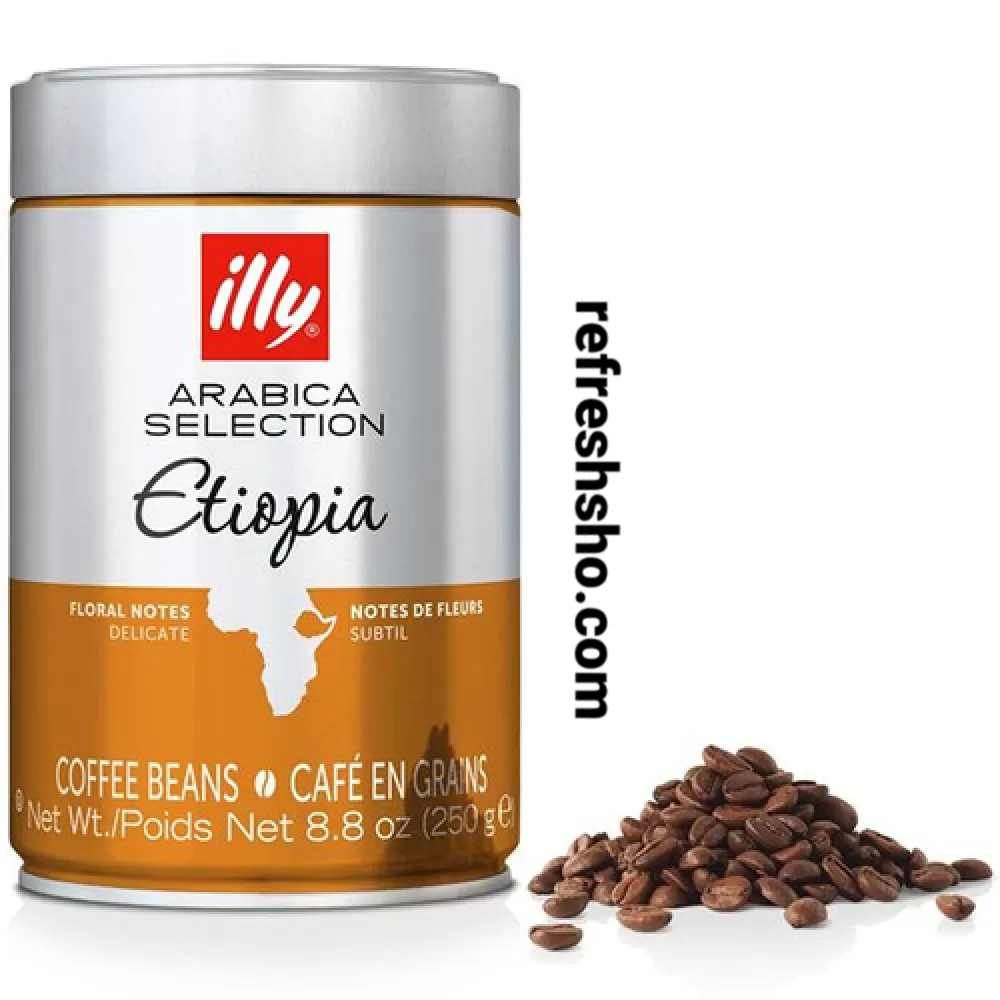  دانه قهوه ایلی مدل اتیوپی 250 گرمی 