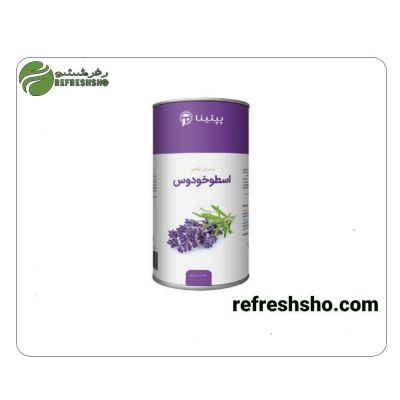 دمنوش اسطوخودوس پپتینا 60گرمی